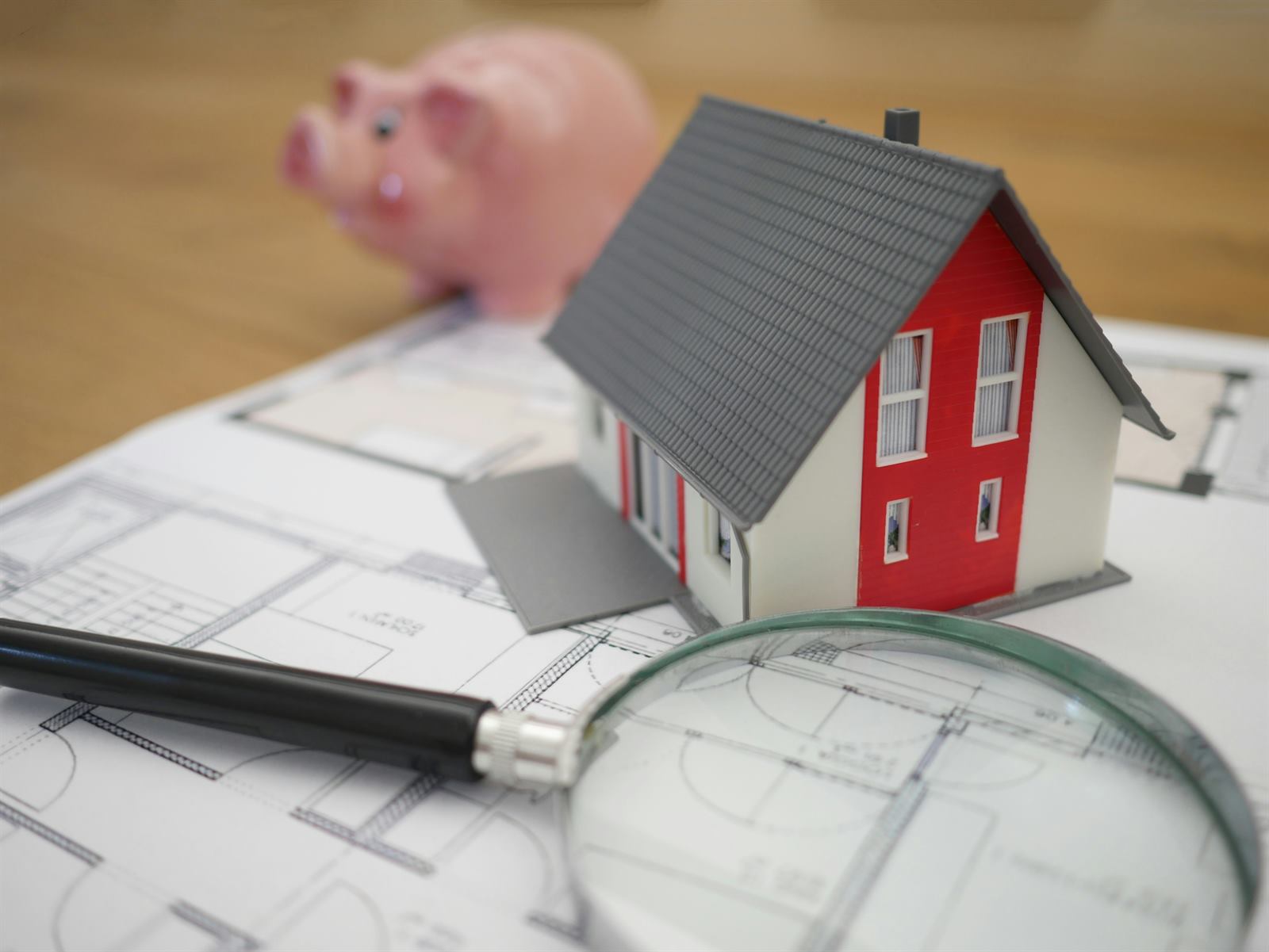 Visite-conseil avant achat